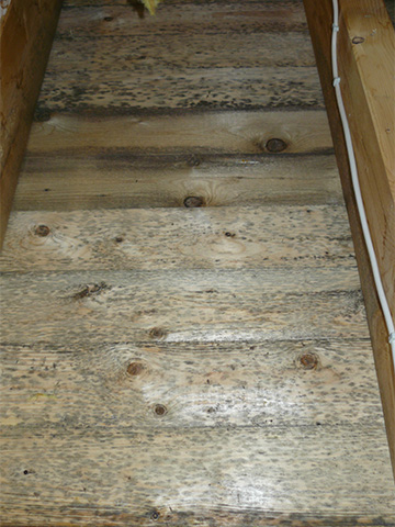 Schimmelbefall an der Holzverschalung einer Dachfläche